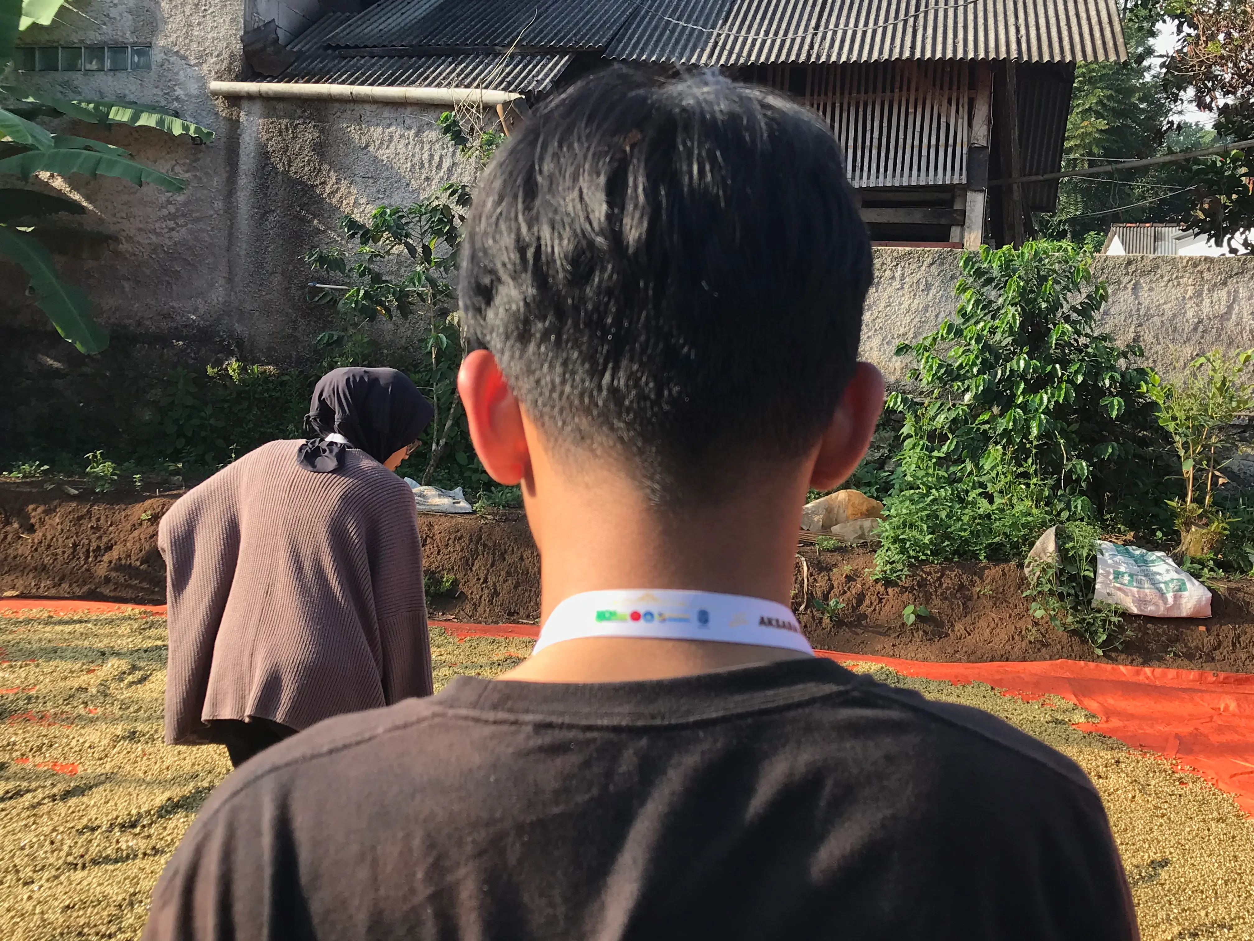 Pelatihan Digital